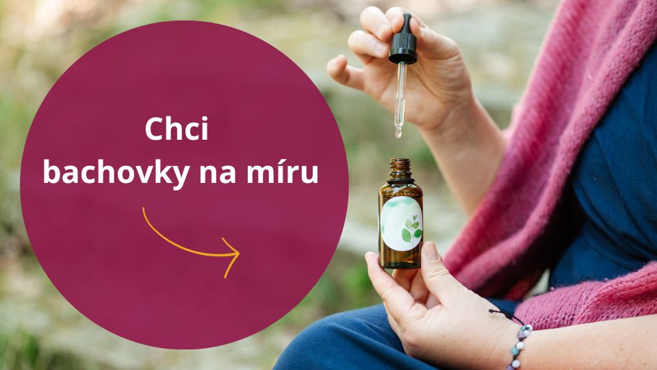 Shoptet Blog bannerový (14)_1